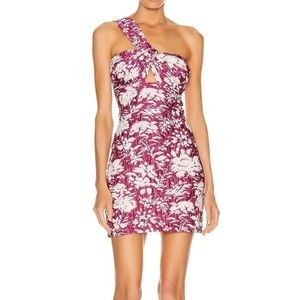 Alexis Livie Fuschia Jacquard Dress